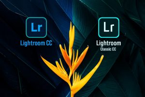 App sống ảo Lightroom CC